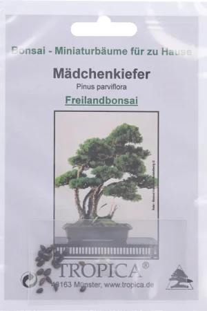 TROPICA Japanse Witte Den | Nu beschikbaar