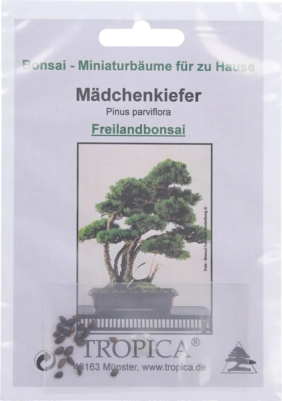 TROPICA Japanse Witte Den | Nu beschikbaar