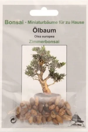 TROPICA Olijfboom - Veel gekozen