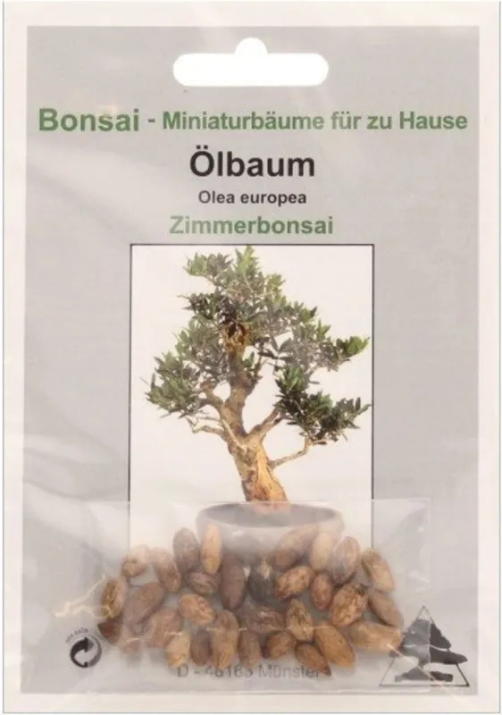 TROPICA Olijfboom - Veel gekozen
