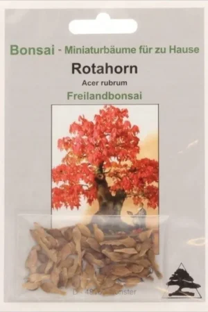 Meest verkocht - TROPICA Rode Esdoorn, 20 Korrels