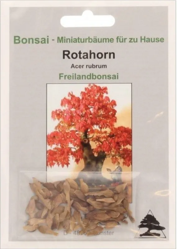 Meest verkocht - TROPICA Rode Esdoorn, 20 Korrels