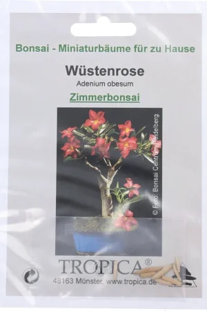 Nog enkele stuks | TROPICA Adenium