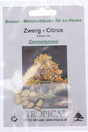 Nog maar een paar beschikbaar | TROPICA Dwergcitrus