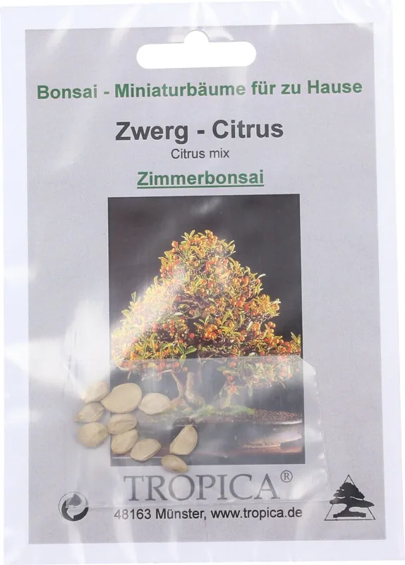 Nog maar een paar beschikbaar | TROPICA Dwergcitrus