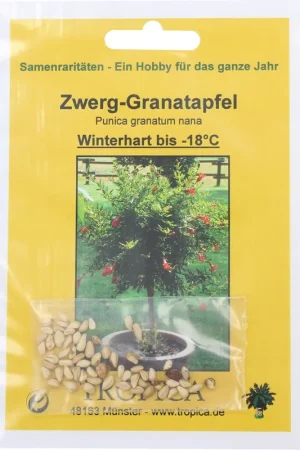 Prijs verlaagd - TROPICA Dwerg Granaatappel