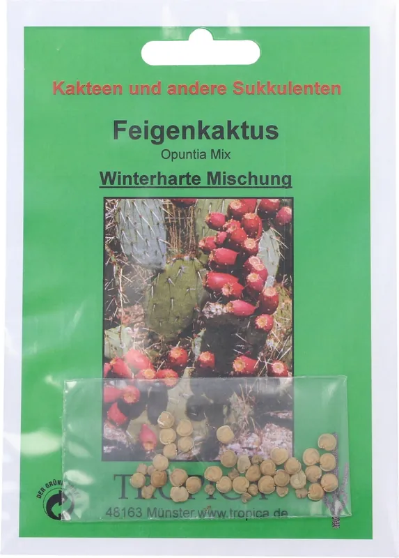 Direct leverbaar | TROPICA Vijgcactussen