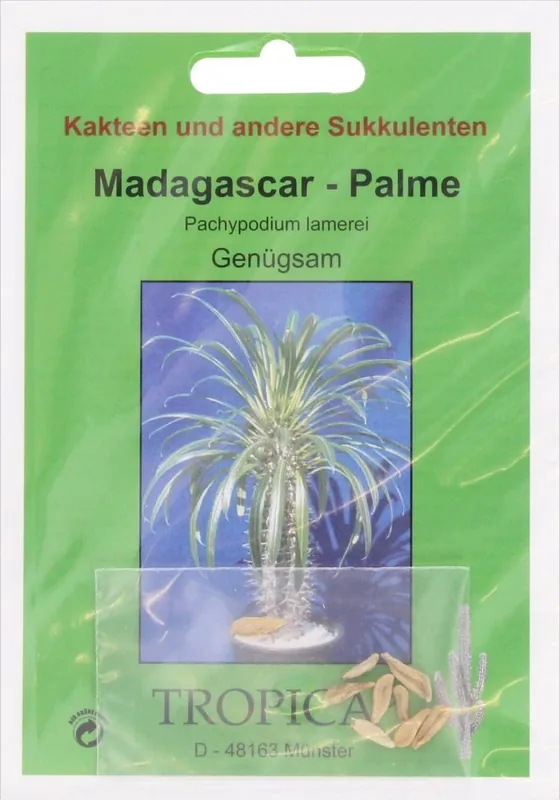 TROPICA Madagaskarpalm, 10 Korrels | Extra voordeel