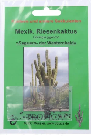 TROPICA Mexicaanse Gigantische Cactus - Voordelig