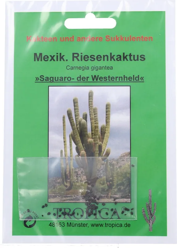 TROPICA Mexicaanse Gigantische Cactus - Voordelig