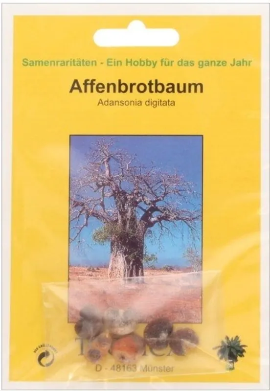 TROPICA Afrikaanse Baobab, 6 Korrels - Spoedlevering