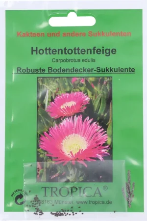 Aanbieding loopt bijna af | TROPICA Hottentotvijg