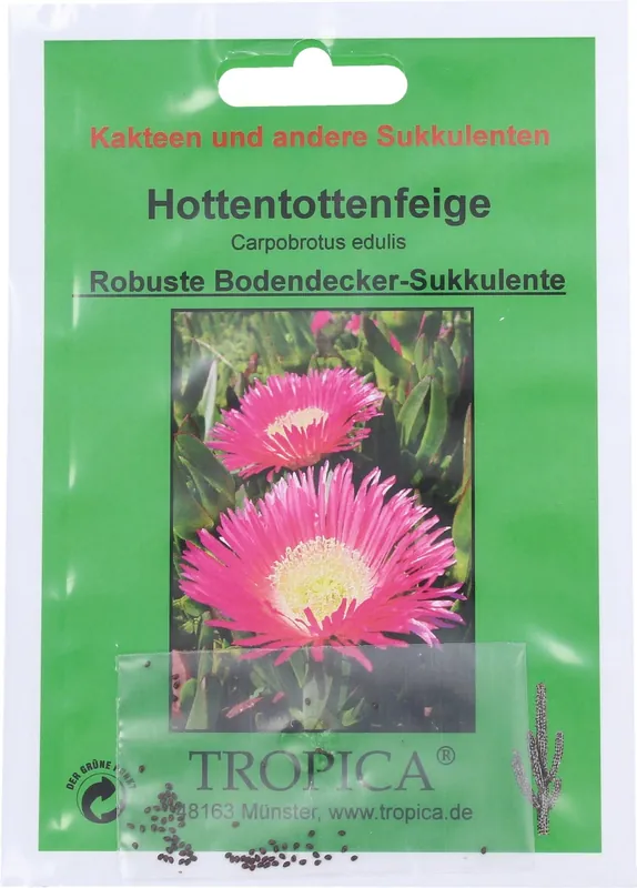 Aanbieding loopt bijna af | TROPICA Hottentotvijg