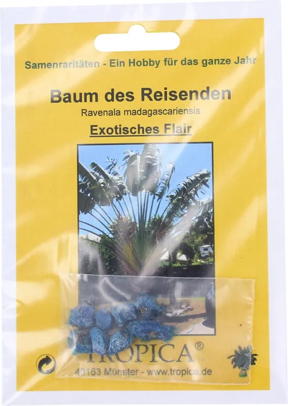 Online bestellen | TROPICA Reizigersboom