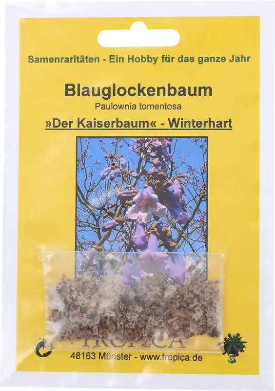TROPICA Anna Paulownaboom - Actieprijs