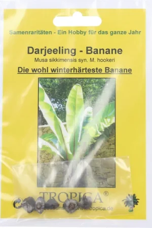 Veel gekozen - TROPICA Darjeeling Banaan