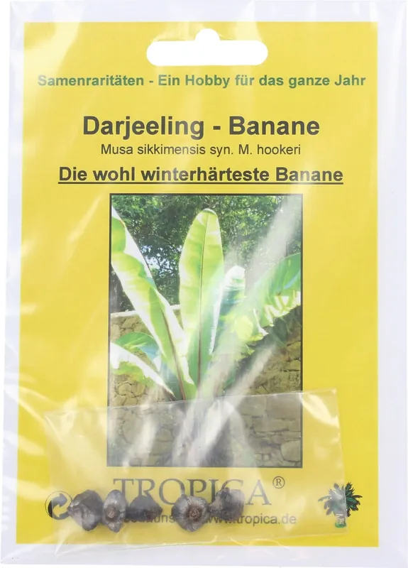Veel gekozen - TROPICA Darjeeling Banaan