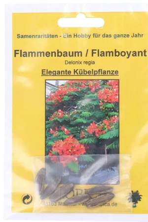 TROPICA Vlamboom - Verlaagde prijs