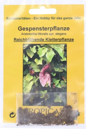 Slechts tijdelijk - TROPICA Nieskruid
