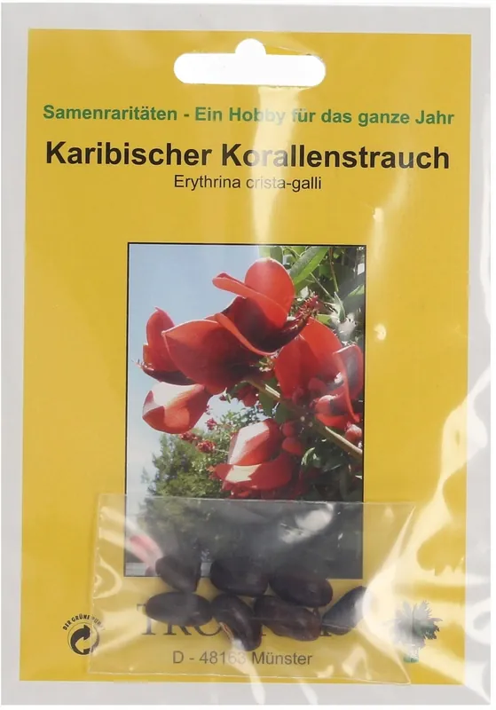 TROPICA Caribische Koraalboom - Uitverkoop