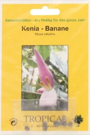TROPICA Kenia Banaan, 8 Korrels | Superprijs