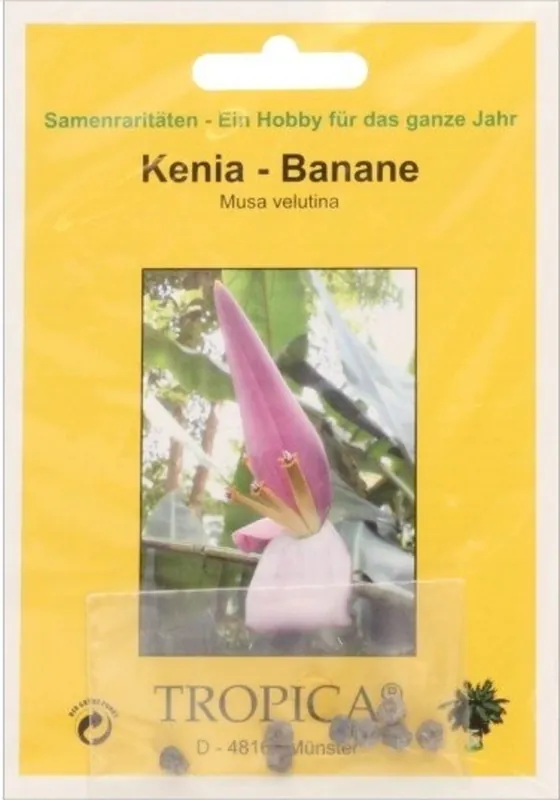 TROPICA Kenia Banaan, 8 Korrels | Superprijs
