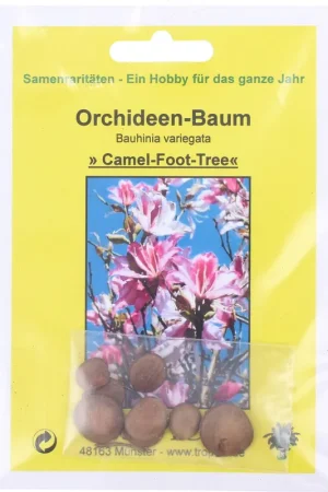 Extra korting - TROPICA Orchideeënboom, 8 Korrels