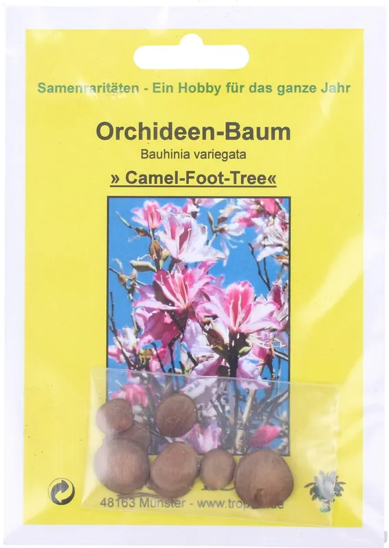 Extra korting - TROPICA Orchideeënboom, 8 Korrels