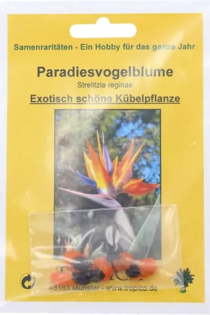 TROPICA Paradijsvogelbloem - Premiumkwaliteit
