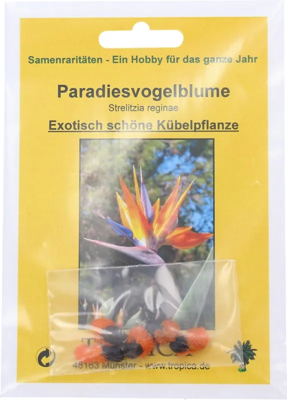 TROPICA Paradijsvogelbloem - Premiumkwaliteit