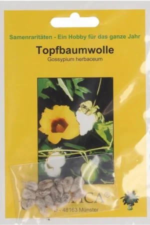 Deal - TROPICA Levant katoen, 12 Korrels
