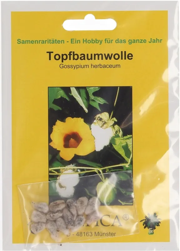 Deal - TROPICA Levant katoen, 12 Korrels