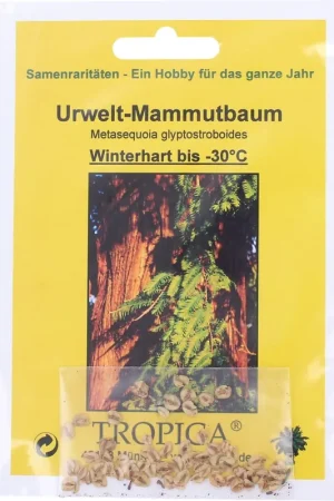 Nieuw - TROPICA Watercipres