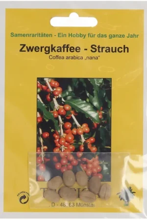 TROPICA Dwergkoffe-Struik, 8 Korrels - Aanbieding