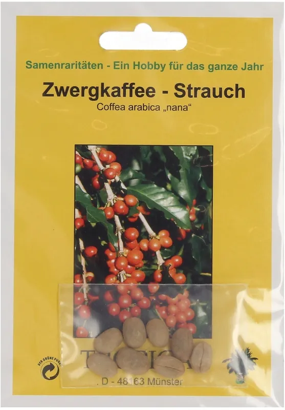 TROPICA Dwergkoffe-Struik, 8 Korrels - Aanbieding