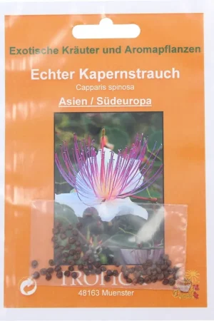 Sale | TROPICA Kappertjesplant