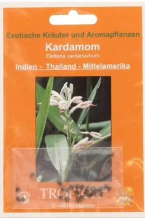 Erg populair | TROPICA Kardemom, 20 Korrels