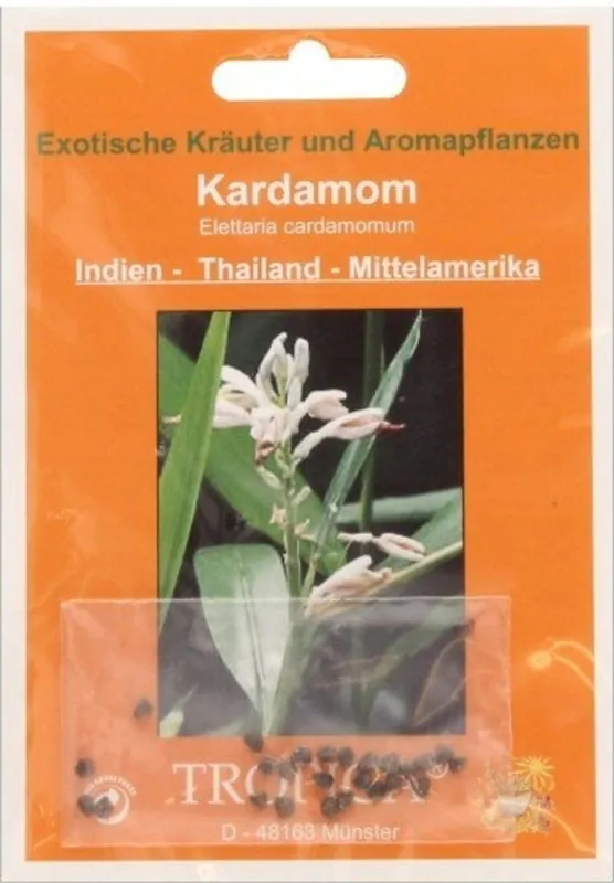 Erg populair | TROPICA Kardemom, 20 Korrels