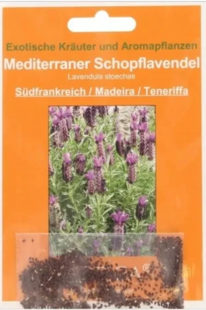 Alleen vandaag - TROPICA Mediterrane Helmstoklavendel