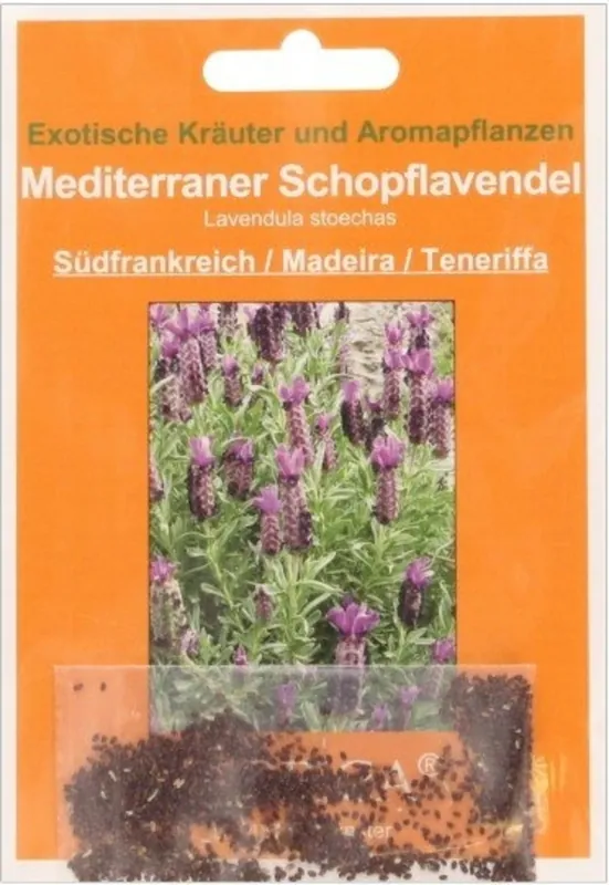 Alleen vandaag - TROPICA Mediterrane Helmstoklavendel