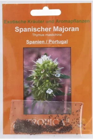 Veilig winkelen | TROPICA Spaanse Marjolein, 4 g