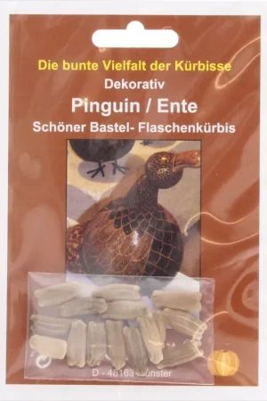 TROPICA Pompoen "Pinguïn", 15 Korrels - Op = op