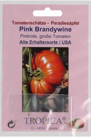 Actieprijs - TROPICA Tomaat "Pink Brandywine", 2 g