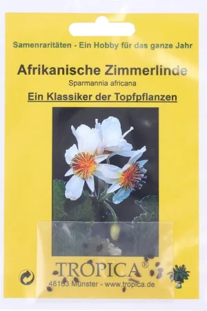 TROPICA Kamerlinde | Nu beschikbaar