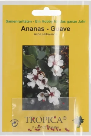 Direct beschikbaar - TROPICA Ananasguave, 2 g