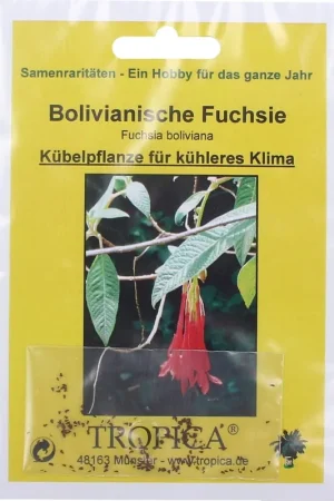Goed beoordeeld | TROPICA Fuchsia Boliviana
