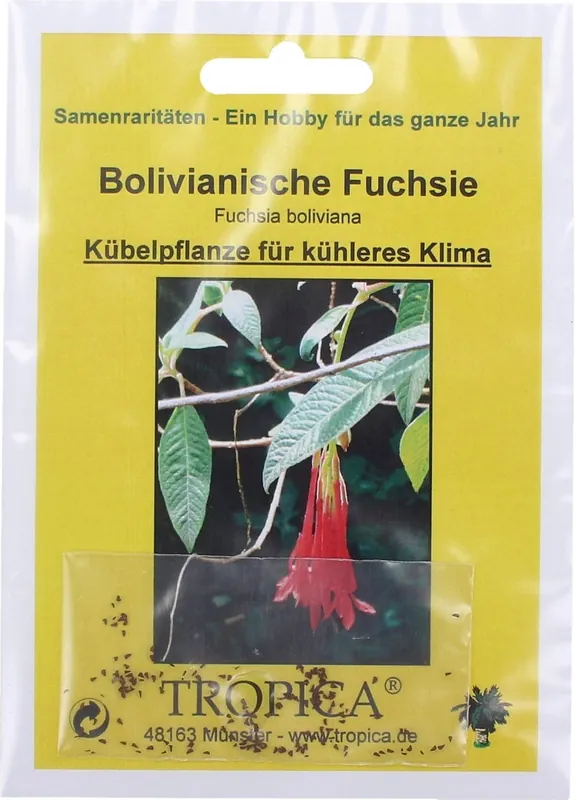 Goed beoordeeld | TROPICA Fuchsia Boliviana