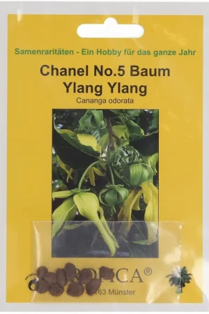 TROPICA Ylang Ylang | Erg populair