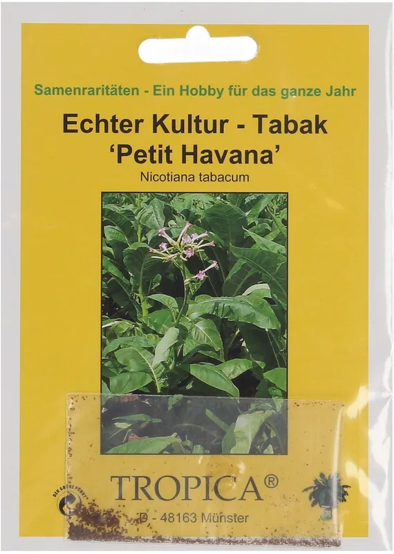 TROPICA Echte Kweektabak, 100 Korrels | Profiteer nu