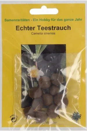 Favoriet van klanten | TROPICA Echte Theestruik, 10 Korrels